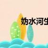 媯水河生態旅游區門票（媯水河）
