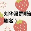 劉華強是哪部電視劇的主角（劉華強什么電視劇名）