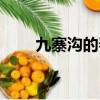 九寨溝的春天歌曲（九寨溝的春天）