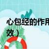 心包經的作用功效百度百科（心包經的作用功效）