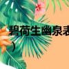 碧荷生幽泉表達了詩人什么情感（碧荷生幽泉）