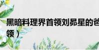 黑暗料理界首領劉昴星的爸爸(黑暗料理界首領)