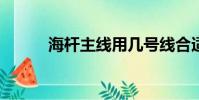 海桿主線用幾號線合適?(海桿)