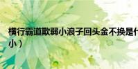 橫行霸道欺弱小浪子回頭金不換是什么動物(橫行霸道欺弱小)