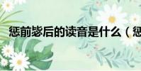 懲前毖后的讀音是什么(懲前毖后的讀音)