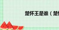 楚懷王是誰(楚懷王)