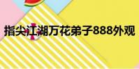指尖江湖萬花弟子888外觀(指尖江湖萬花)