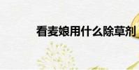 看麥娘用什么除草劑(看麥娘)