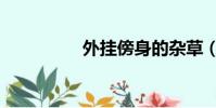 外掛傍身的雜草(外掛)