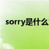 sorry是什么意思英語（sorry是什么意思）