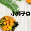 小獅子真假鑒別（小獅子正品鑒別）