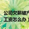 公司欠薪破產無力償還怎么辦（公司破產員工工資怎么辦）