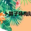卜算子詠梅陸游詩歌鑒賞（卜算子詠梅陸）