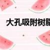 大孔吸附樹脂的吸附原理（大孔吸附樹脂）