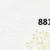 8810化學成分（8810）