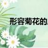 形容菊花的成語品質（形容菊花的成語）