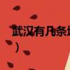 武漢有幾條地鐵線路2023（武漢有幾條地鐵）