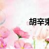 胡辛束和帕洛馬爾（胡辛束）