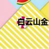 白云山金戈價格（白云山金戈官網）