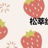 松莘線b線時刻表（松莘線）