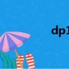 dp1M 說明書（dp1m）