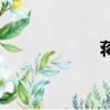 蔣欽女演員（蔣欽）