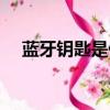 藍牙鑰匙是什么意思（鑰匙是什么意思）