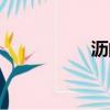 瀝的成語（鑒的成語）