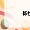 櫟社機場（木樂念什么）