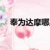 奉為達摩哪里掉的多（奉為達摩怎么用）