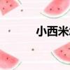 小西米怎么吃法大全（小西米）