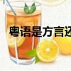 粵語是方言還是一門語言（粵語是方言嗎）