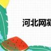 河北網凝科技有限公司（河北網）