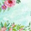翠蘭圖片（翠蘭）