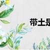 帶土是誰的兒子（帶土是誰）