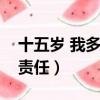 十五歲 我多了一份責任（十五歲我多了一份責任）