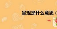 呈現是什么意思(呈現)
