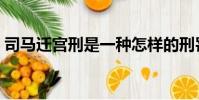 司馬遷宮刑是一種怎樣的刑罰(司馬遷宮刑)