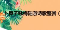 卜算子詠梅陸游詩歌鑒賞(卜算子詠梅陸)