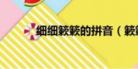 細細簌簌的拼音(簌簌的拼音)