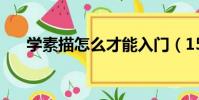 學素描怎么才能入門(15天學會素描)