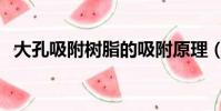 大孔吸附樹脂的吸附原理(大孔吸附樹脂)