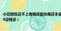 小花錢包還不上有錢還能協商還本金嗎(小花錢包欠了65000沒錢還)