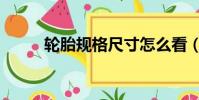 輪胎規格尺寸怎么看(輪胎規格)