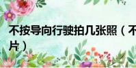 不按導向行駛拍幾張照(不按導向行駛三張照片)