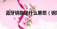 藍牙鑰匙是什么意思(鑰匙是什么意思)