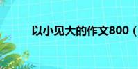 以小見大的作文800(以小見大)