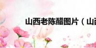 山西老陳醋圖片(山西老陳醋)