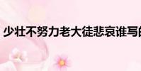 少壯不努力老大徒悲哀誰寫的(少壯不努力)