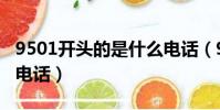 9501開頭的是什么電話(9508開頭的是什么電話)